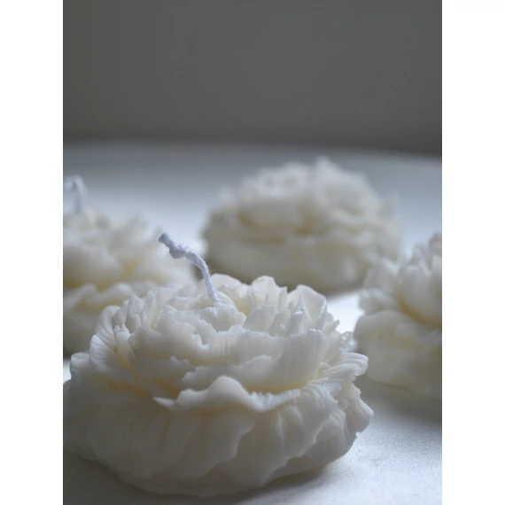 Peonia gyertya szett